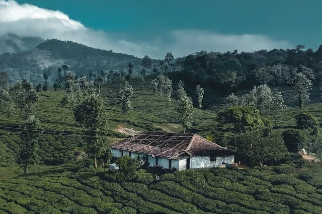 Delhi Guwahati plane ticket